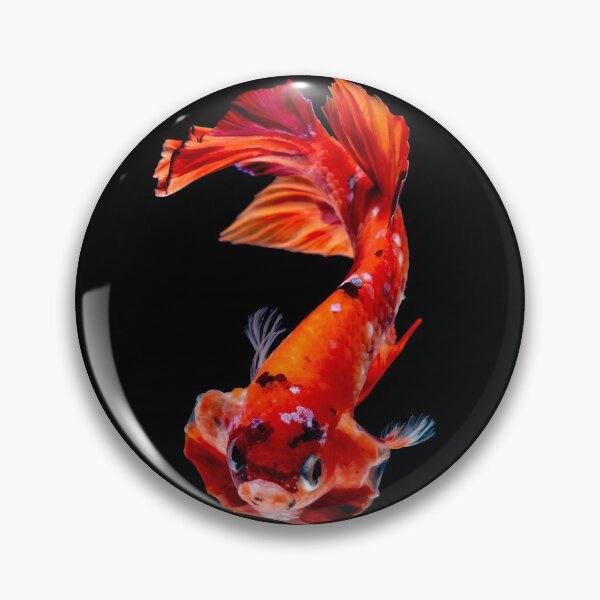 Aperçu de l'œuvre Poisson koi rouge gros plan photo créée et vendue par DopeTops.