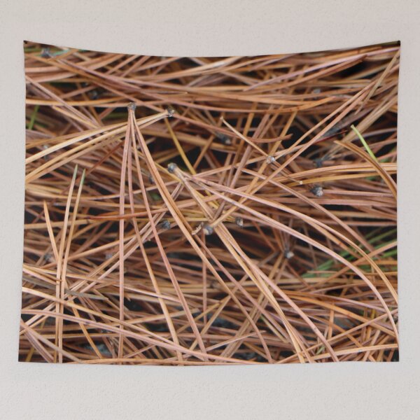 Item preview, Pine needles. Soft, scented carpet bed of pine leaves on the pine forest floor. designed and sold by JellyBeenzz.