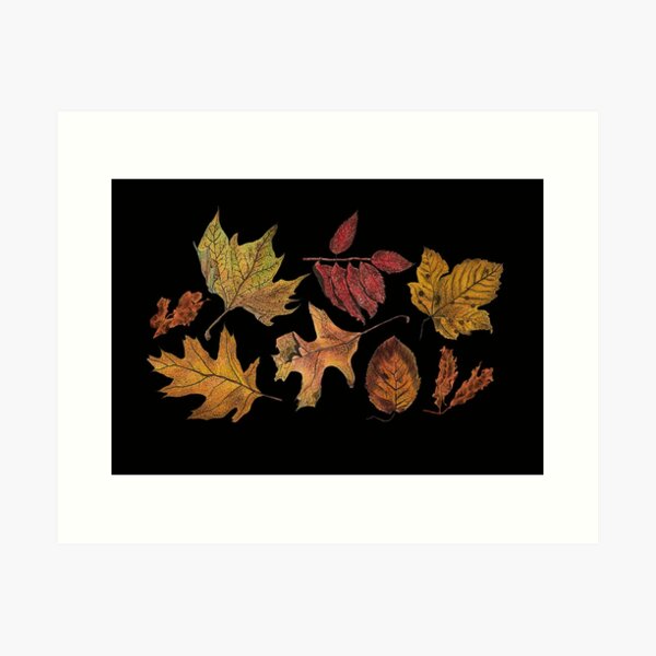 Watercolour autumn leaves on dark background Art Print