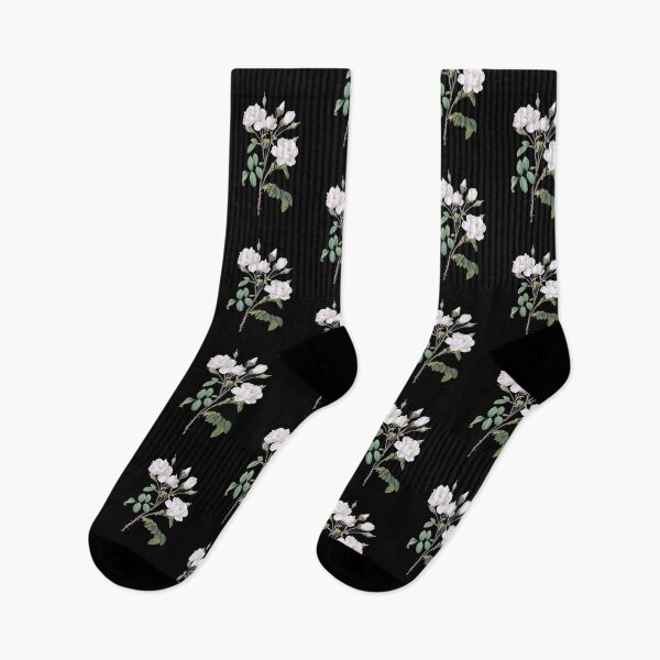 Item preview, Rosa campanulata alba also known as Pink Bellflowers to White Flowers from Les Roses (1817–1824) by Pierre-Joseph Redouté designed and sold by domdjs4239.