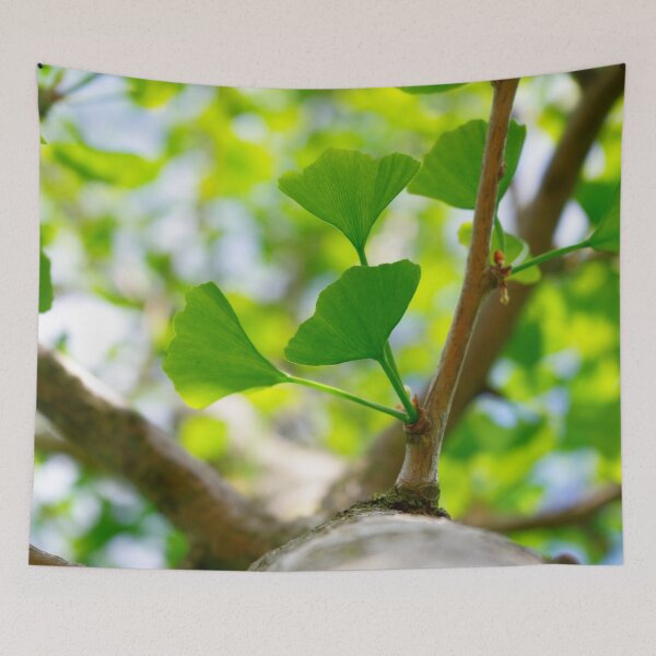 Item preview, Gingko leaves designed and sold by Treemonk.