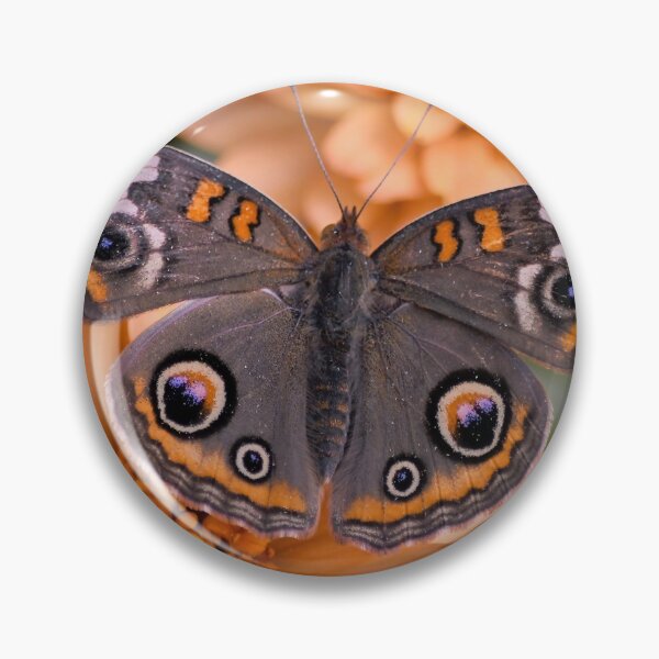 Item preview, Beautiful Buckeye Butterfly designed and sold by richardbryce.