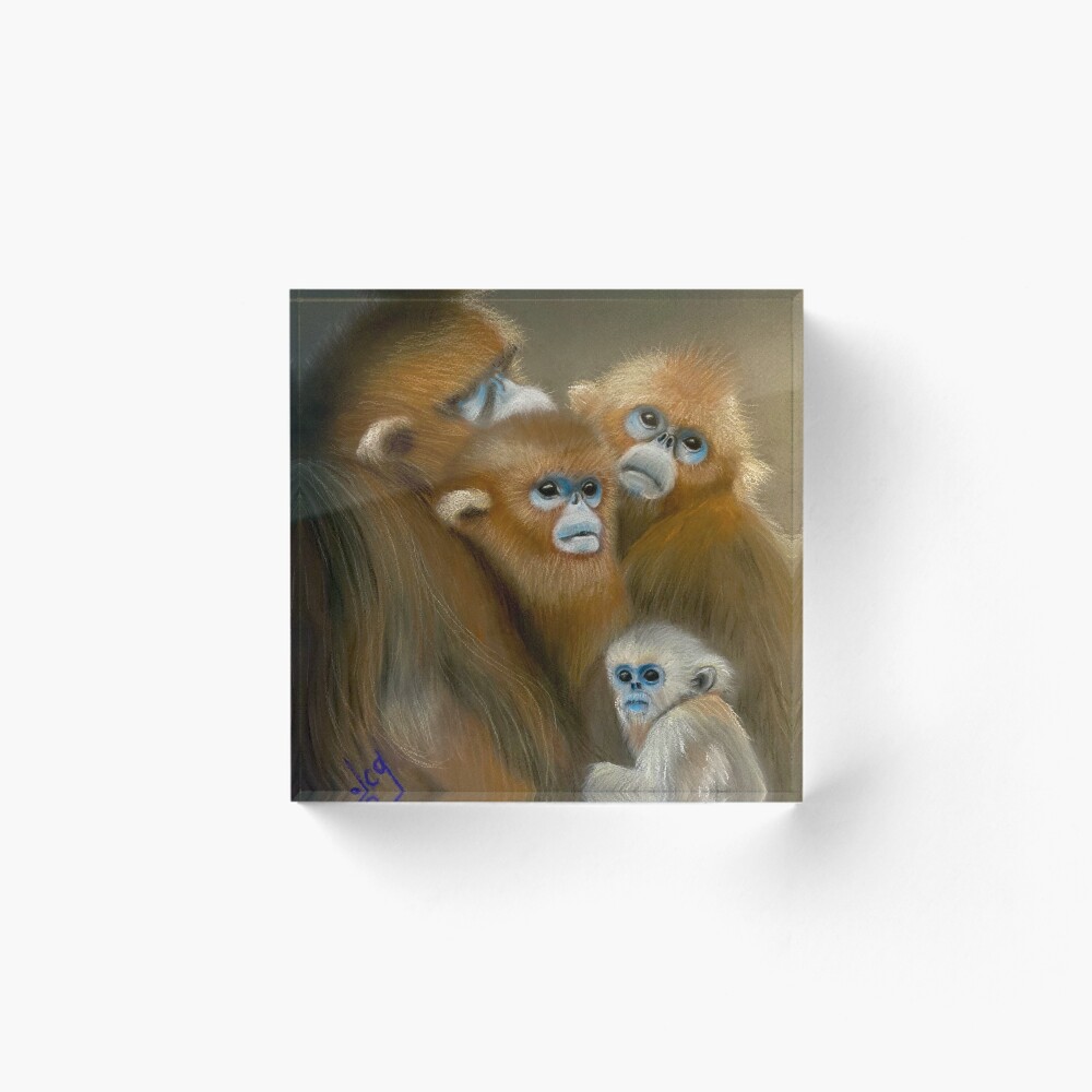 Item preview, Acrylic Block designed and sold by byolca.