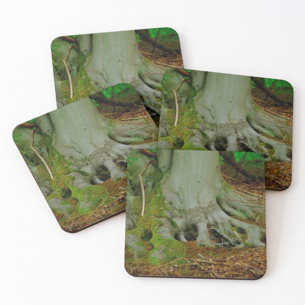 Item preview, Beech tree roots designed and sold by Treemonk.
