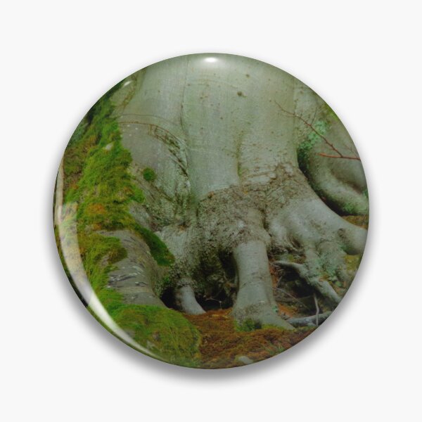 Item preview, Beech tree roots designed and sold by Treemonk.