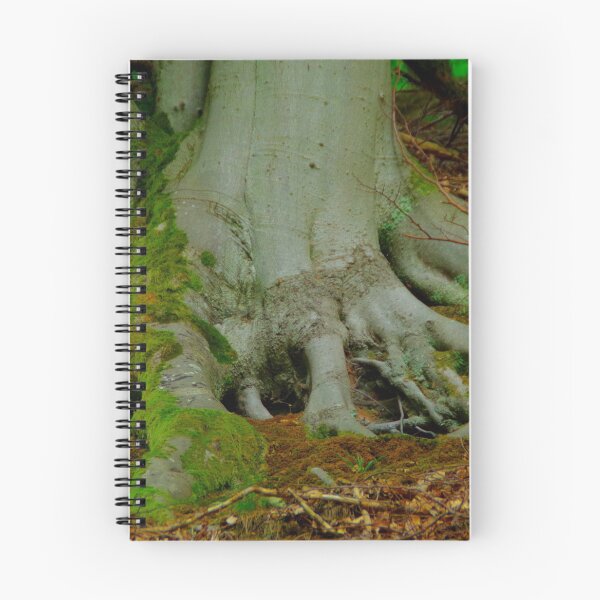 Item preview, Beech tree roots designed and sold by Treemonk.