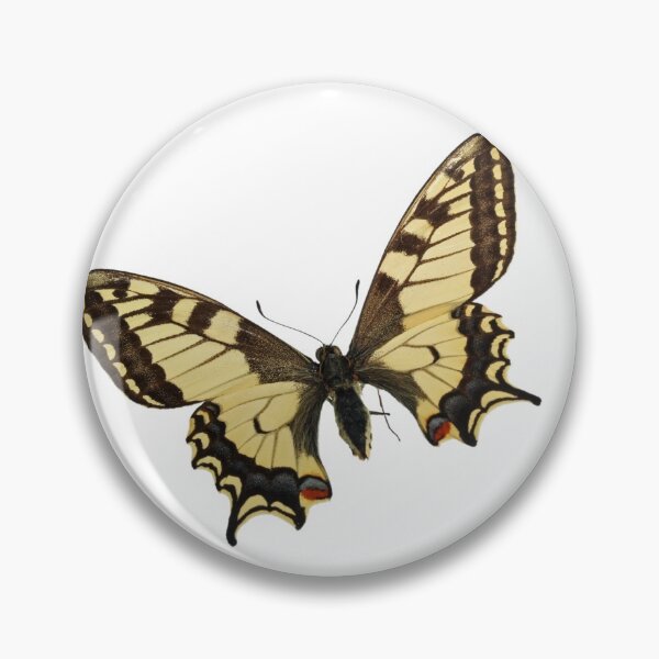 Item preview, Swallowtail butterfly designed and sold by julset.