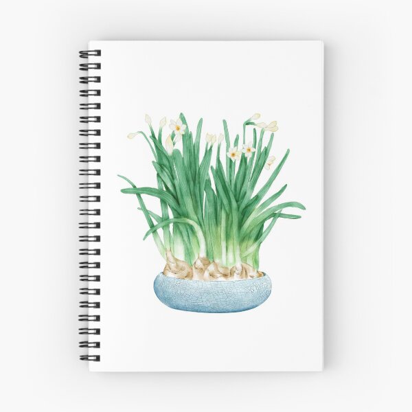 Item preview, Watercolor Illustration of A pot of blooming narcissus designed and sold by iswenyi.