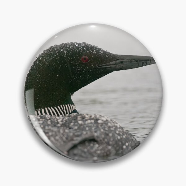 Item preview, Common Loon designed and sold by Loon-Images.