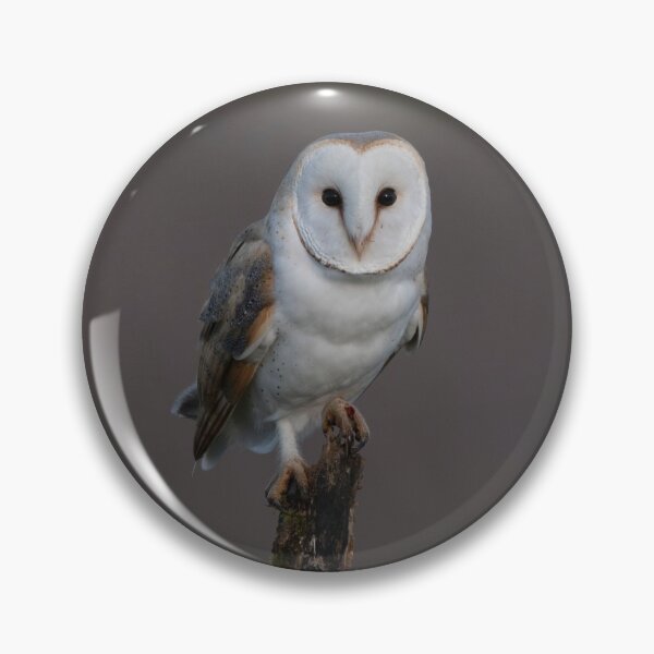Item preview, barn owl on the wild designed and sold by claireliz.