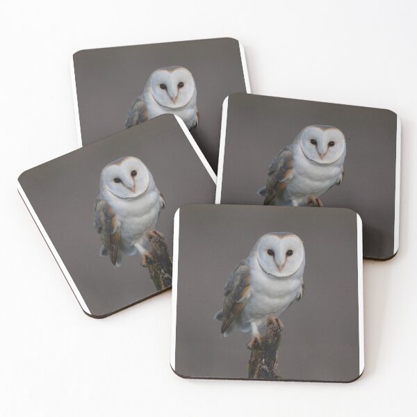 Item preview, barn owl on the wild designed and sold by claireliz.