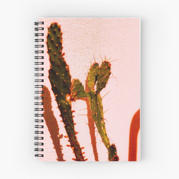 Aperçu de l'œuvre Cactus créée et vendue par borislava03.