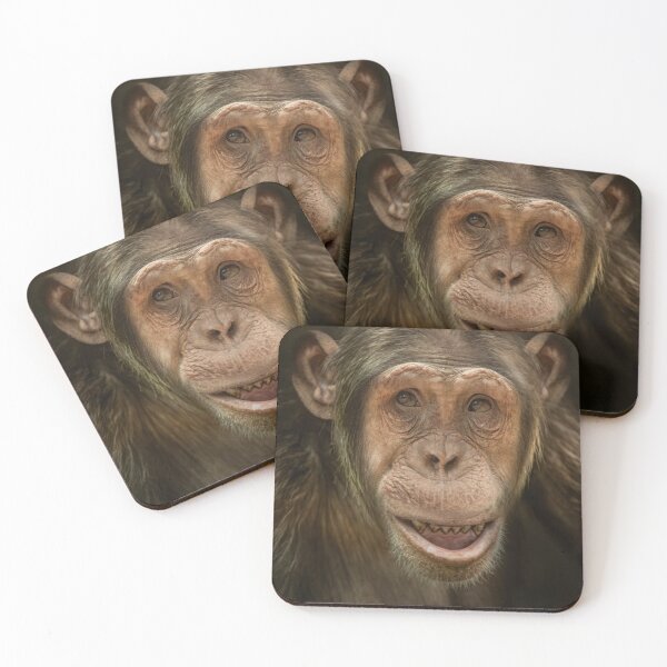 Item preview, chimpance designed and sold by claireliz.