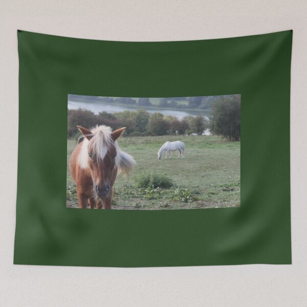 Item preview, Pony in the early morning mist  designed and sold by Emma  Amies.