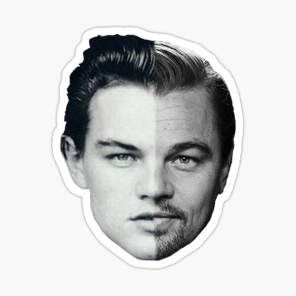 Item preview, Leonardo DiCaprio designed and sold by livjj.