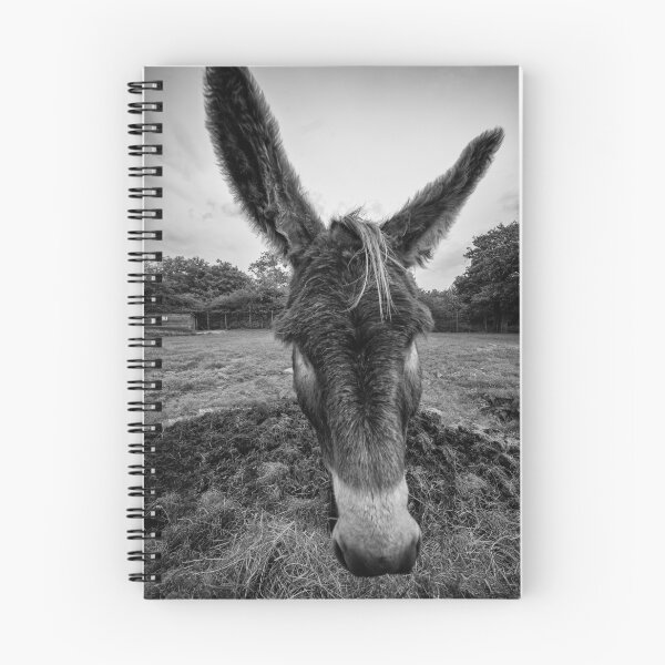 Item preview, Donkey in black and white designed and sold by iCimages.net.