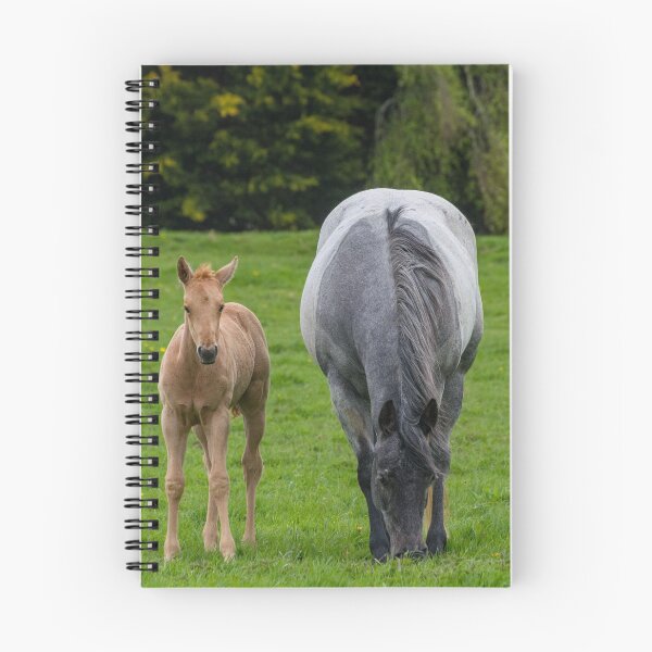 Item preview, Mare and foal in a field designed and sold by iCimages.net.
