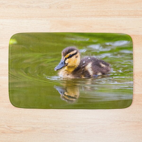 Item preview, Duckling paddling on a pond. designed and sold by iCimages.net.