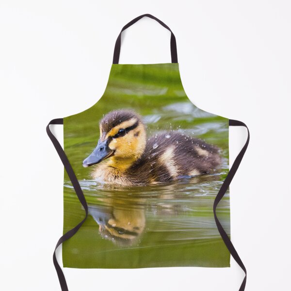 Item preview, Patito remando en un estanque. designed and sold by iCimages.net.