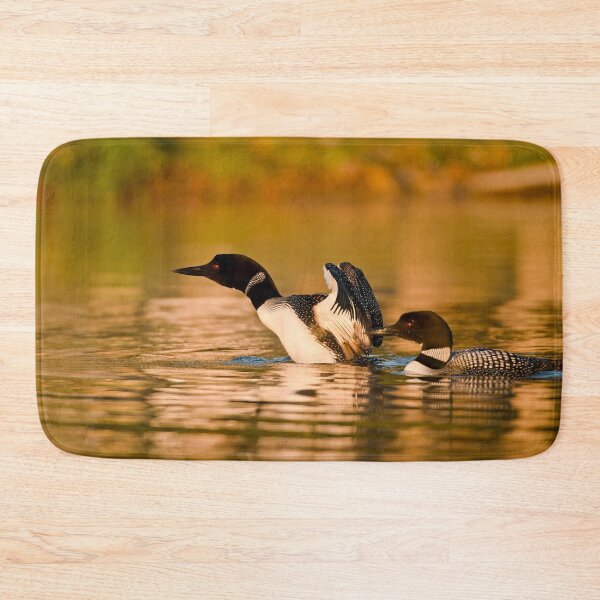 Item preview, Common Loons designed and sold by Loon-Images.