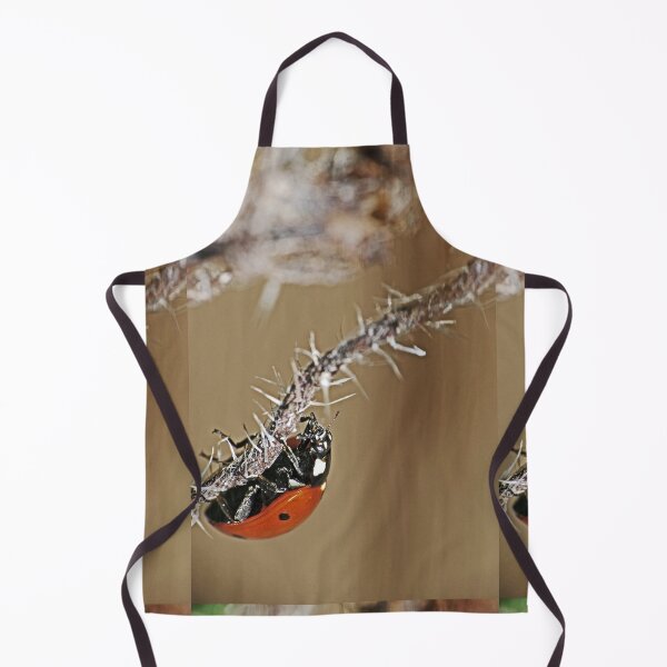 Item preview, the Star : coccinelle-ladybug by Olao-Olavia / Okaio Créations 2015 by fz 1000 400.000 photos framings different picture on request on each support designed and sold by o.okaïo.