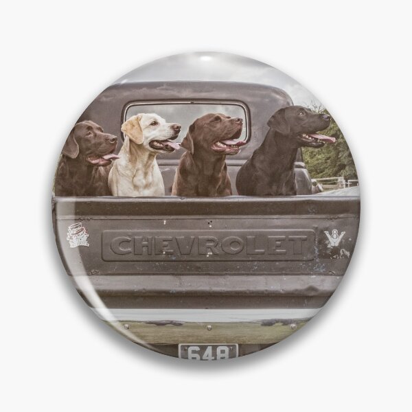 Item preview, labs in chevy truck designed and sold by claireliz.