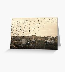 Les Oiseaux Greeting Card