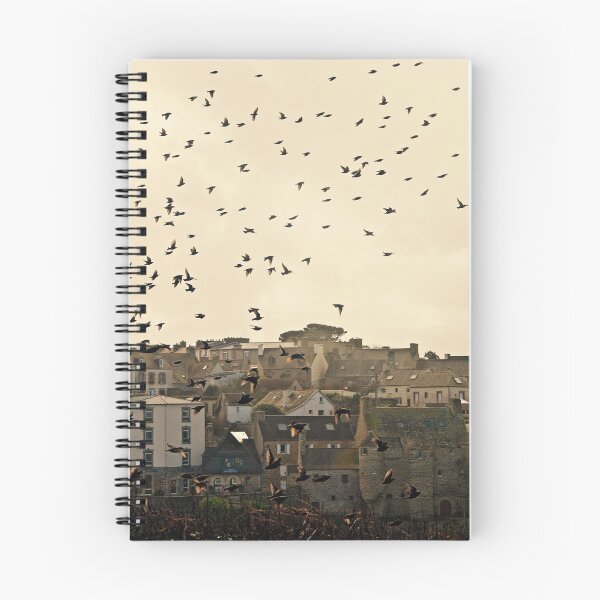 Item preview, Les Oiseaux designed and sold by Jean-Luc Rollier.
