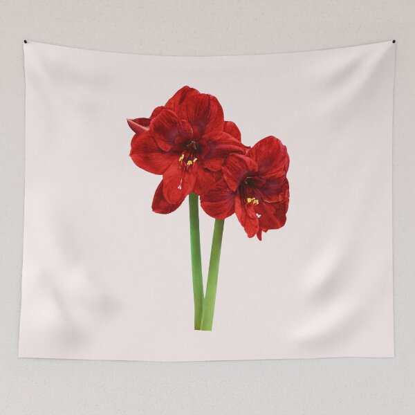 Aperçu de l'œuvre Paire d'Amaryllis Rouge créée et vendue par Susan Savad.