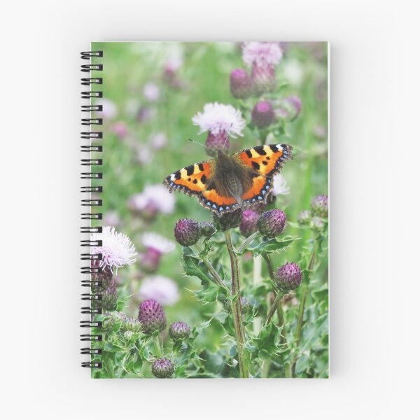 Item preview, Small Tortoiseshell Butterfly designed and sold by Nigel Tinlin.