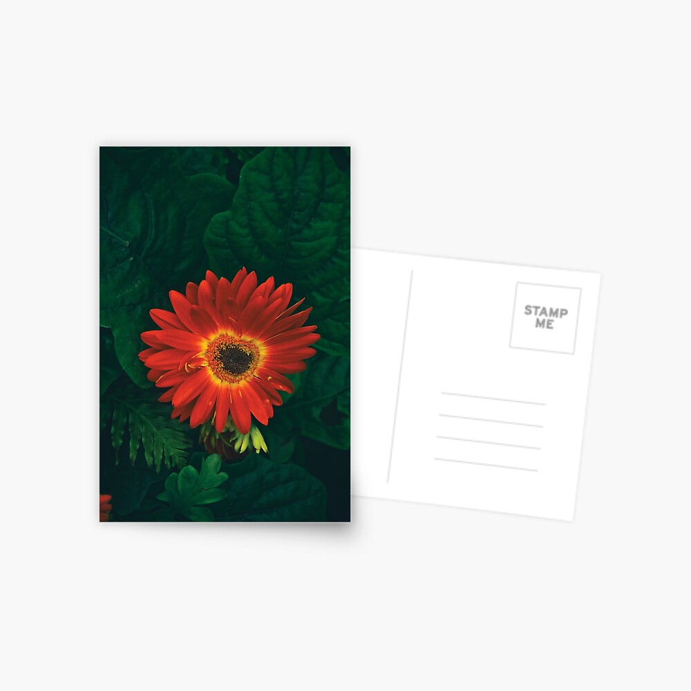 Item preview, Postcard designed and sold by daPacificArt.