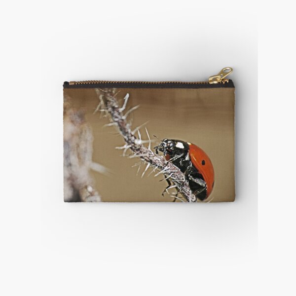 Item preview, the Star : coccinelle-ladybug by Olao-Olavia / Okaio Créations 2015 by fz 1000  400.000 photos  framings different picture on request on each support designed and sold by o.okaïo.