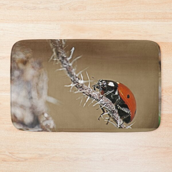 Item preview, the Star : coccinelle-ladybug by Olao-Olavia / Okaio Créations 2015 by fz 1000  400.000 photos  framings different picture on request on each support designed and sold by o.okaïo.