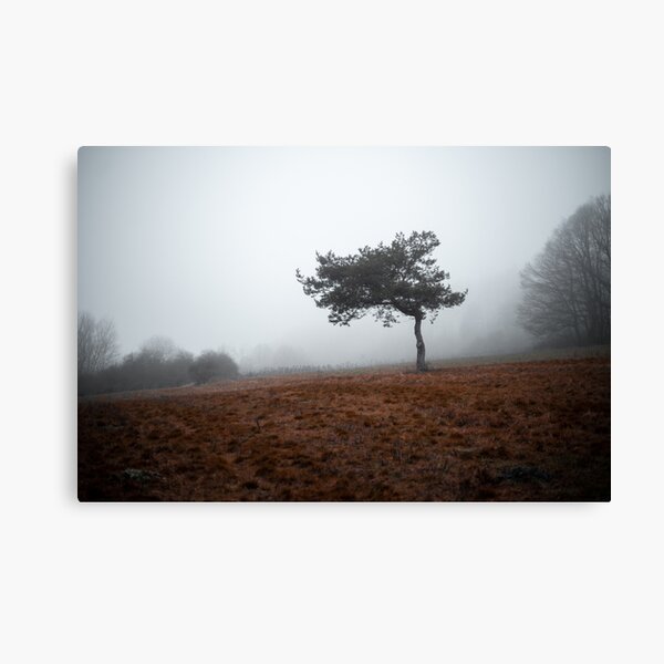 Tree I. Canvas Print