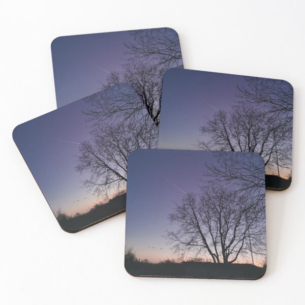 Item preview, Evening forest photography designed and sold by Brushstroke23.
