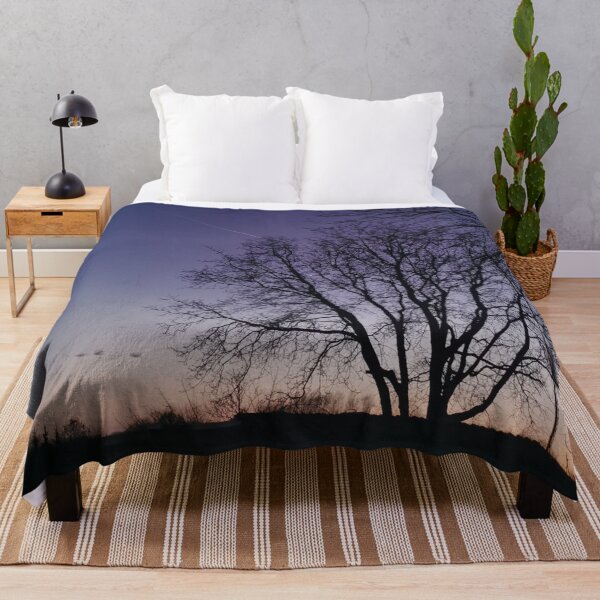 Item preview, Evening forest photography designed and sold by Brushstroke23.