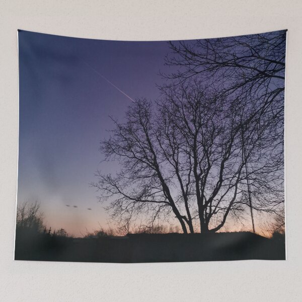Item preview, Evening forest photography designed and sold by Brushstroke23.