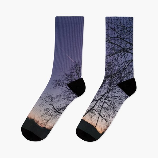 Item preview, Evening forest photography designed and sold by Brushstroke23.