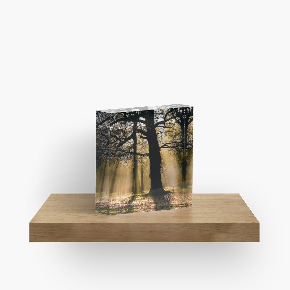 Item preview, Acrylic Block designed and sold by davecurrie.