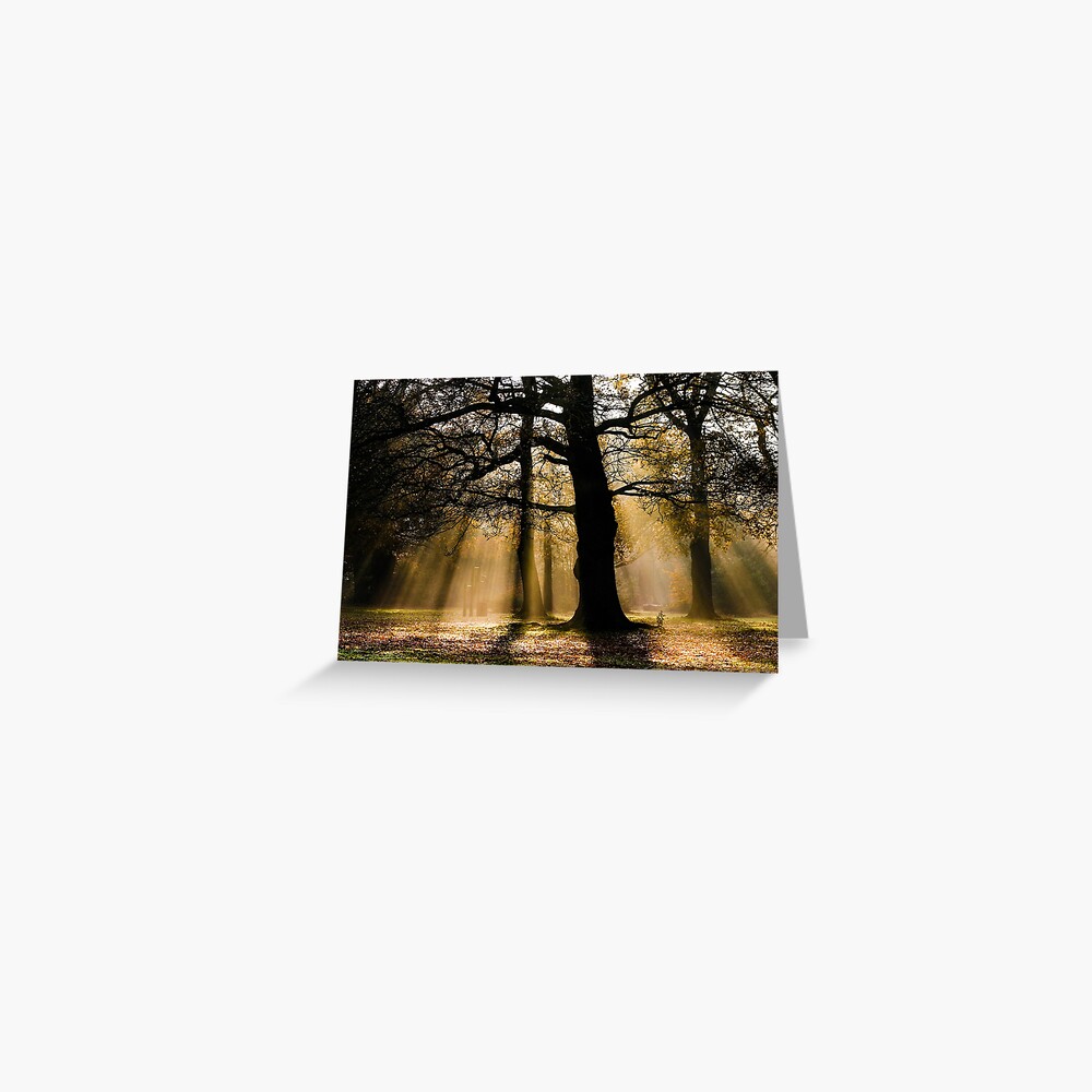 Item preview, Greeting Card designed and sold by davecurrie.