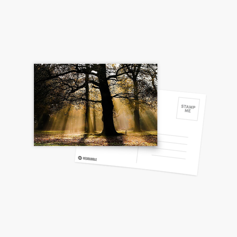 Item preview, Postcard designed and sold by davecurrie.
