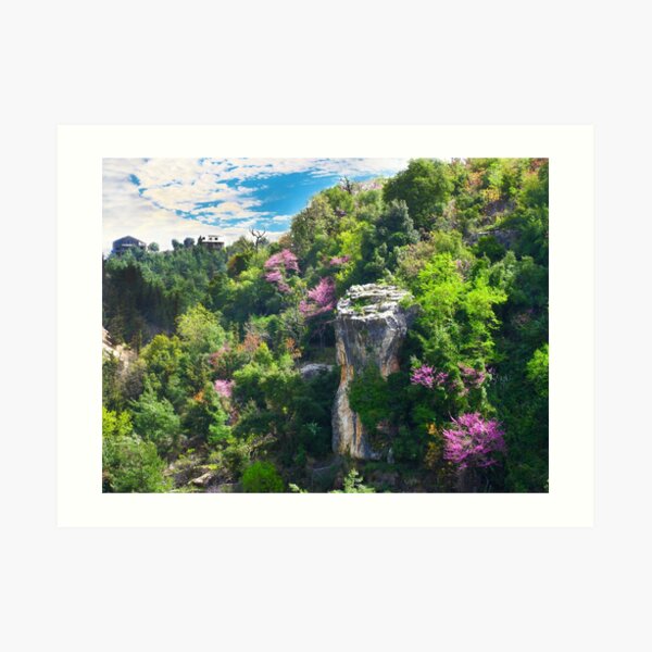 Spring in the Mountains Art Print