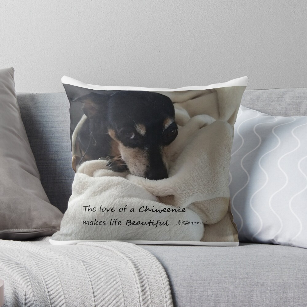 chiweenie pillow