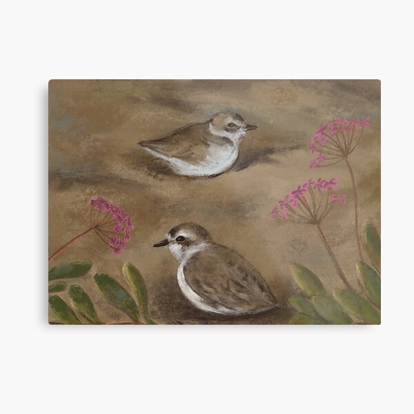 Snowy Plover and Beach Verbena Metal Print