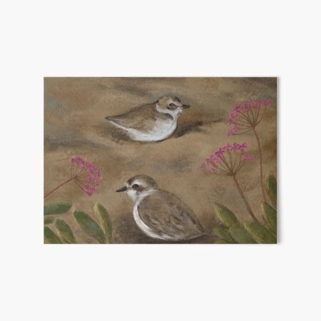 Snowy Plover and Beach Verbena Art Board Print