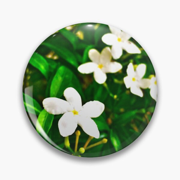 Artikelvorschau, Sampaguita entworfen und verkauft von -OHA-.