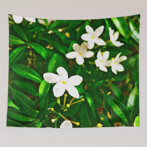 Artikelvorschau, Sampaguita entworfen und verkauft von -OHA-.