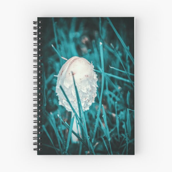 Item preview, Young parasol mushroom designed and sold by Ingo Menhard.