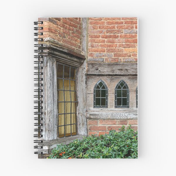Item preview, Ancient Window Detail designed and sold by SMartin.