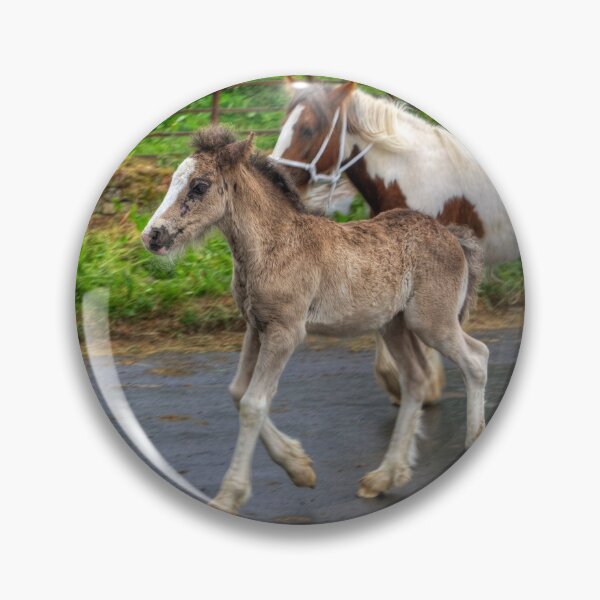 Item preview, Foal at the Horse Fair designed and sold by tomg.